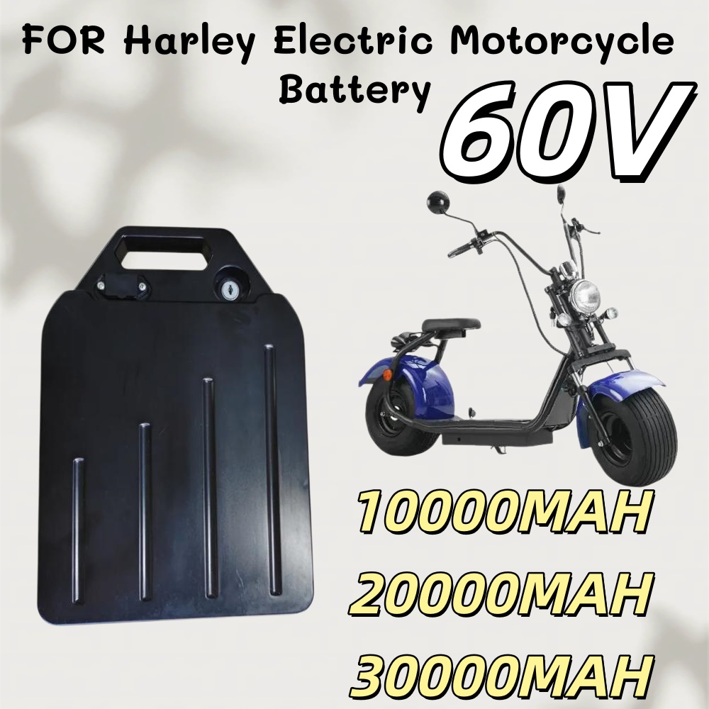 Bateria de Íons de Lítio 2000W - 60V 30Ah Electric Scooter Battery avaliação e preço